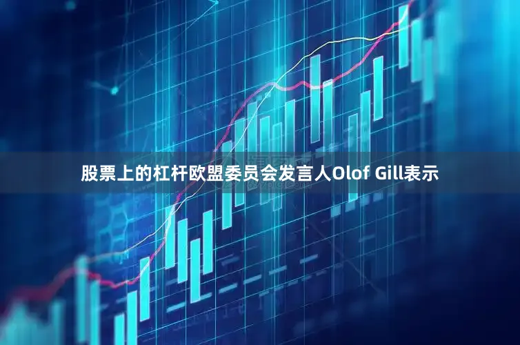 股票上的杠杆欧盟委员会发言人Olof Gill表示